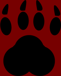 picture of a panther paw
